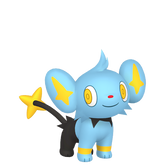 Shinx in Legends of Arceus